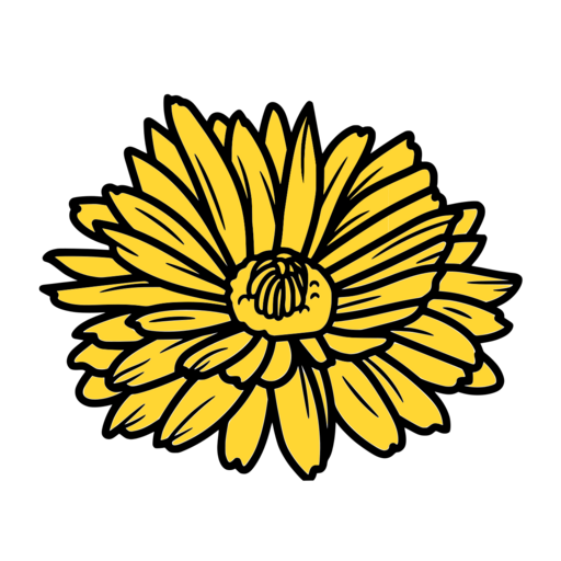 Flor símbolo da Calêndula Produções